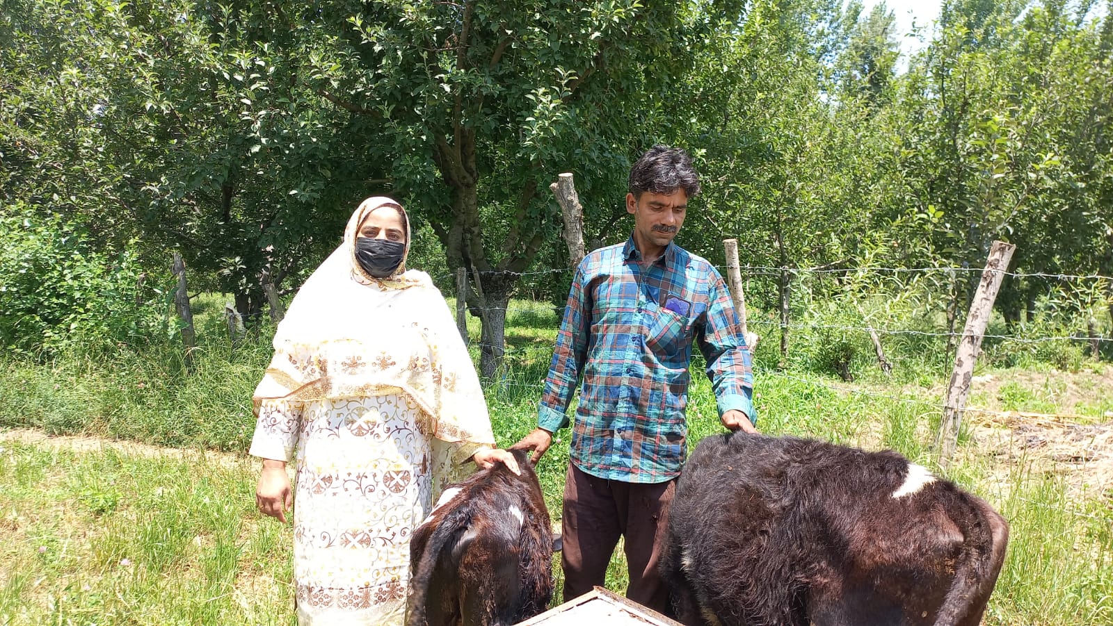 Anantnag woman says she became financially independent in just two years after starting dairy farm