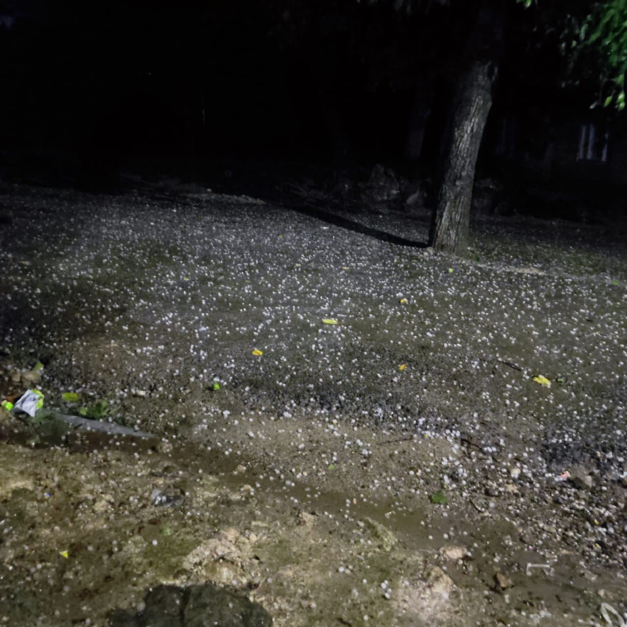 Hailstorm Wreaks Havoc to Orchards, Crops Across Ajas, Its Adjoining Villages in Bandipora