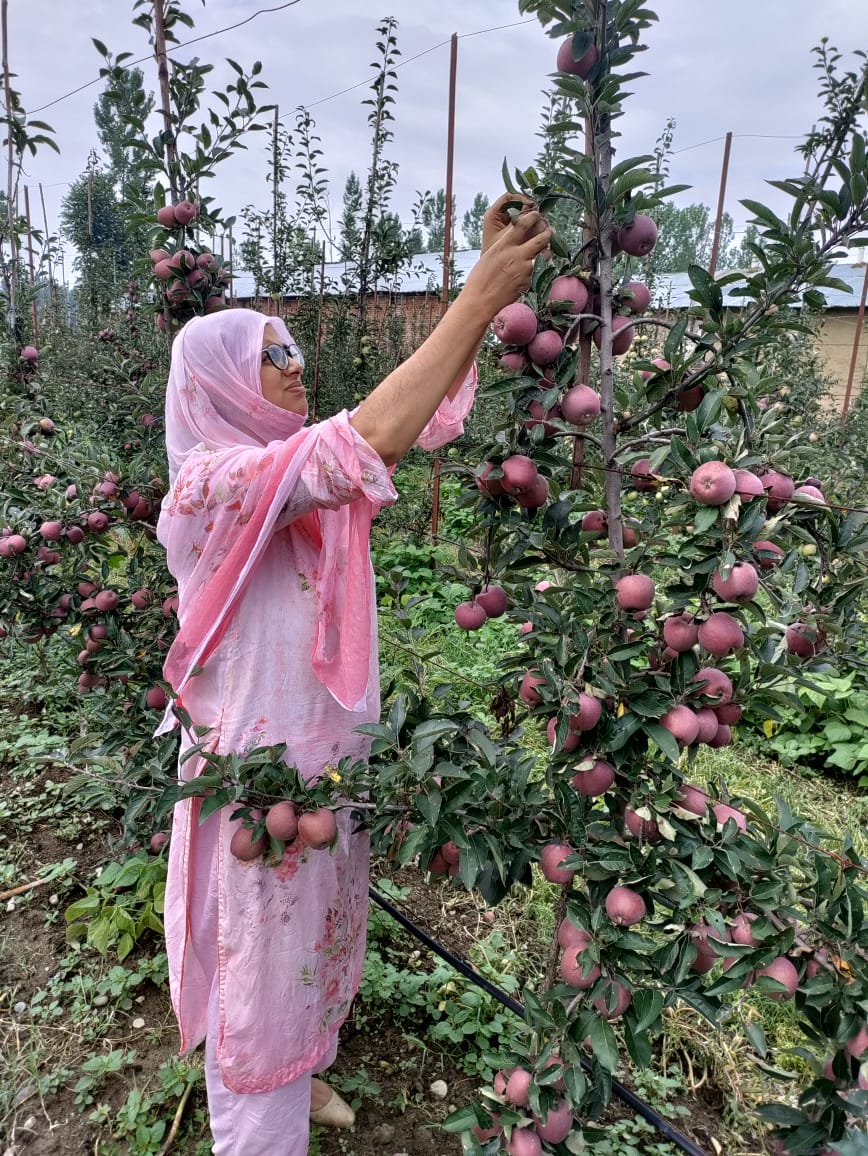 This woman left law profession to become an integrated farmer