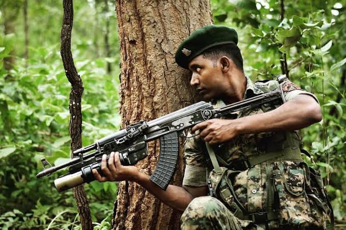 CRPFs CoBRA companies from Bihar deployed in Kashmir forests
