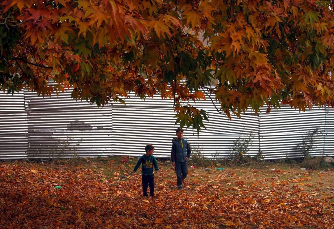 Heavy Footfall on Kashmir’s Trekking Trails as Autumn Season Peaks