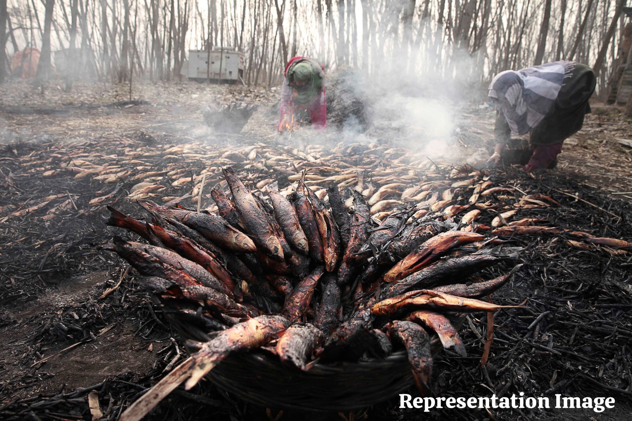 As temperature plummets, smoked fish (Phari), a winter delicacy in huge demand in Kashmir