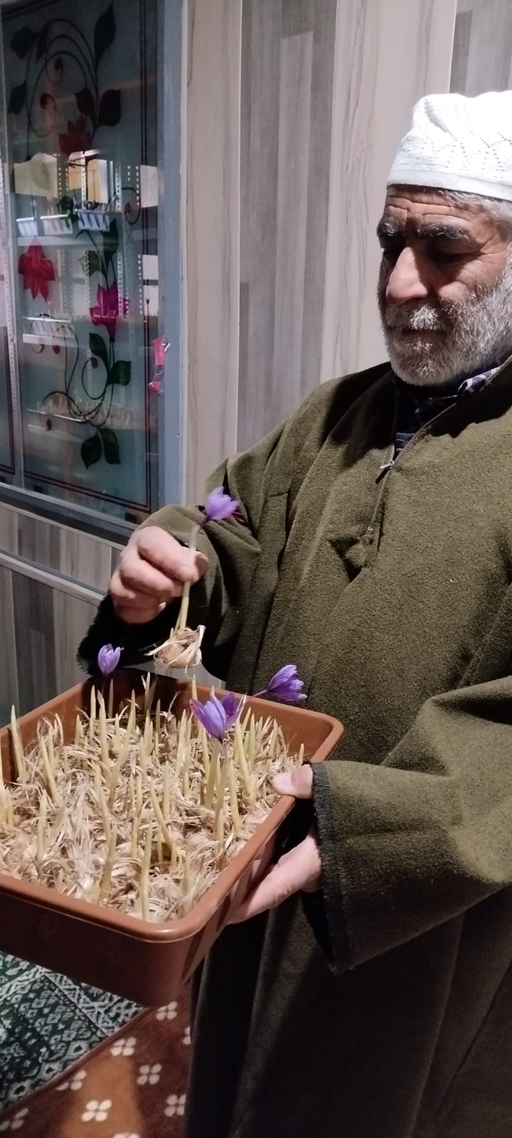 Meet Shopian’s progressive farmer growing both indoor, outdoor saffron