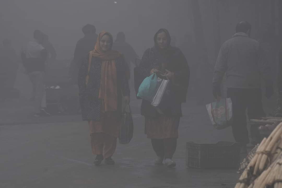 From Traffic Control Room Kashmir precaution measures driving through Fog
