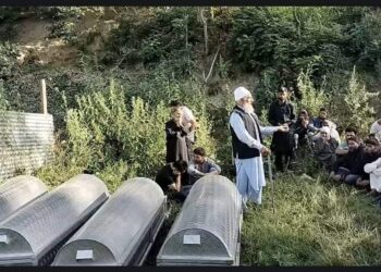Out to fetch water, 4 of family die as vehicle falls in gorge in Handwara village