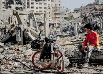 28 killed in Israeli airstrike on school in Gaza