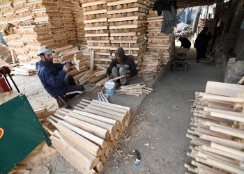 Kashmiri bat to get more global recognition as Govt notifies it in Handicraft list