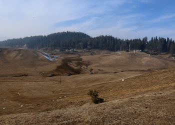 DRY SPELL: Trees crave for moisture, Soil thirsty, many crops in danger