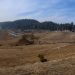 DRY SPELL: Trees crave for moisture, Soil thirsty, many crops in danger