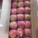 Fresh demand for Kashmiri apples brings relief to growers