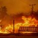 Los Angeles wildfires: Death toll rises to 24