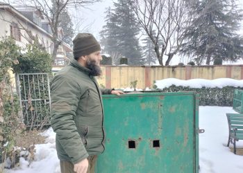 Wildlife department Kulgam captures, releases Black Bear safely
