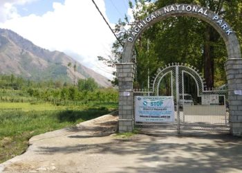 No water crisis for wildlife in Dachigam National Park: Officials
