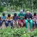 Digital addiction on rise in Kashmir, children with working parents more vulnerable