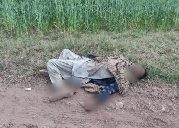 Intruder killed as BSF foils an infiltration bid on Pathankot