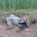 Intruder killed as BSF foils an infiltration bid on Pathankot