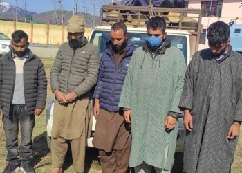 Five Arrested as Police Solve Poplar Tree Theft Case in South Kashmir