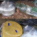 IED Recovered, Destroyed in Kupwara Forest Area