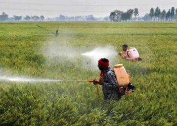Fertilizers, pesticides allowed to Valley only after proper standard testing: Javed Dar
