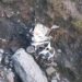 2 Killed, 4 Injured In Doda Road Accident
