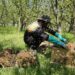 No Pesticides, no PGRs: Kulgam man turns honey bees into weapons against toxins
