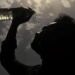 Heatwave: Srinagar sizzles at 32.2 C