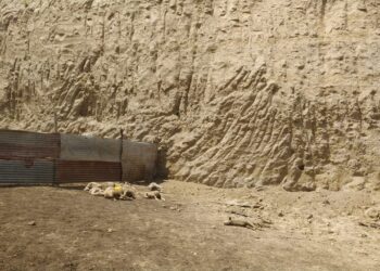Landslide Kills 11 Sheep in Budgam