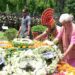 LG, DyCM Pay Tribute to Martyred BSF Officer, JKAS Officer Killed in Pak Shelling