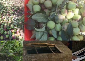 Windstorm Wreaks Havoc in Budgam’s Khag, Villagers Appeal for Immediate Relief