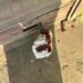 Wine Shop Relocated from Pantha Chowk Due to Yatra, Sealed in Batamaloo