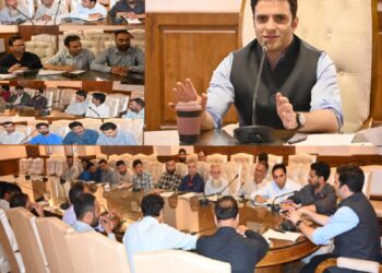 DC Kulgam reviews PM Surya Ghar- Muft Bijli Yojana