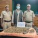 Terrorist Associate Apprehended with Huge Cache of Arms in Chowkibal, Kupwara