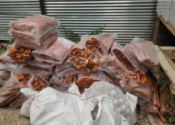 What were we eating? Authorities investigate reports of formaldehyde in seized rotten meat