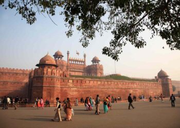 7 Delhi cops ‘fail to intercept’ dummy bomb during Independence Day mock drill, suspended