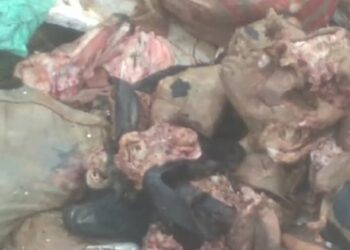 Sheep and Goat Remains Found Abandoned in Bags in Srinagar, Locals Express Outrage