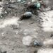 Old hand Grenade Found in Garbage Dump at Srinagar