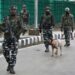 Security beefed up at Jammu Tawi Railway Station after BSF catches pigeon with chit threatening blast