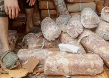 Those involved in selling rotten meat will face strict action: CS