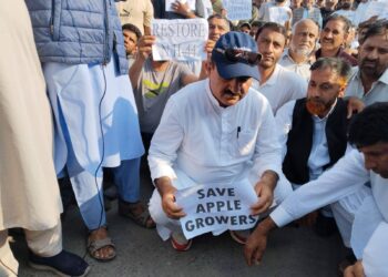 Fruit mandis shut across Kashmir valley over highway havoc