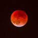 Lunar Eclipse 2025: Rare celestial event to be observed in India, Australia, Middle East, Europe and more
