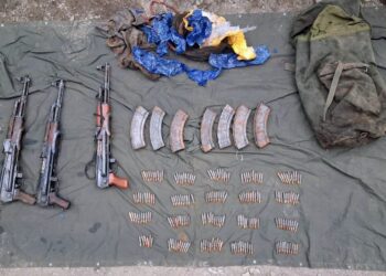 Three Terror Sympathisers Arrested, 7 AK Rifles Recovered in Poonch: IGP Jammu