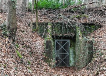 Terrorists constructing underground bunkers deep inside thick forests