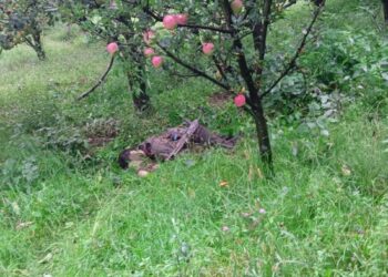Terrorist Killed, Three Army Soldiers Including JCO Injured In Kulgam Gunfight