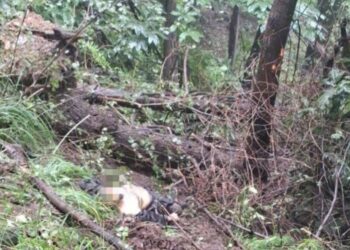 Second terrorist killed in Kulgam encounter, ops on