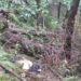 Second terrorist killed in Kulgam encounter, ops on