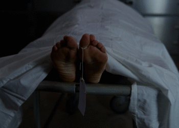 Terror module crackdown Dry fruit seller picked up for questioning succumbs to burn injuries