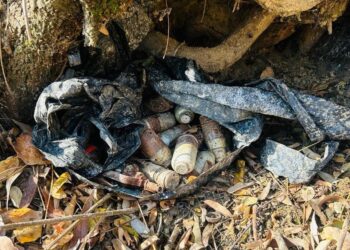 CASO Leads to Busting of Militant Hideout in Kreeri