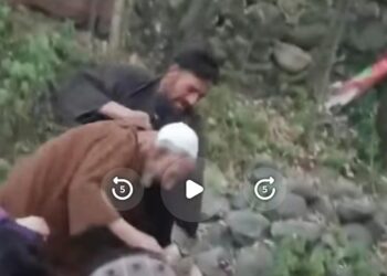 Viral video sparks action: Man assaulting elderly man taken into custody in J-K’s Tangmarg