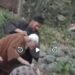 Viral video sparks action: Man assaulting elderly man taken into custody in J-K’s Tangmarg