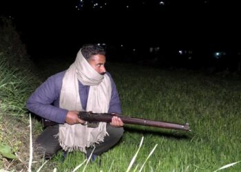VDG Member Fires Warning Shots After Spotting Suspicious Movement in Dessa Doda